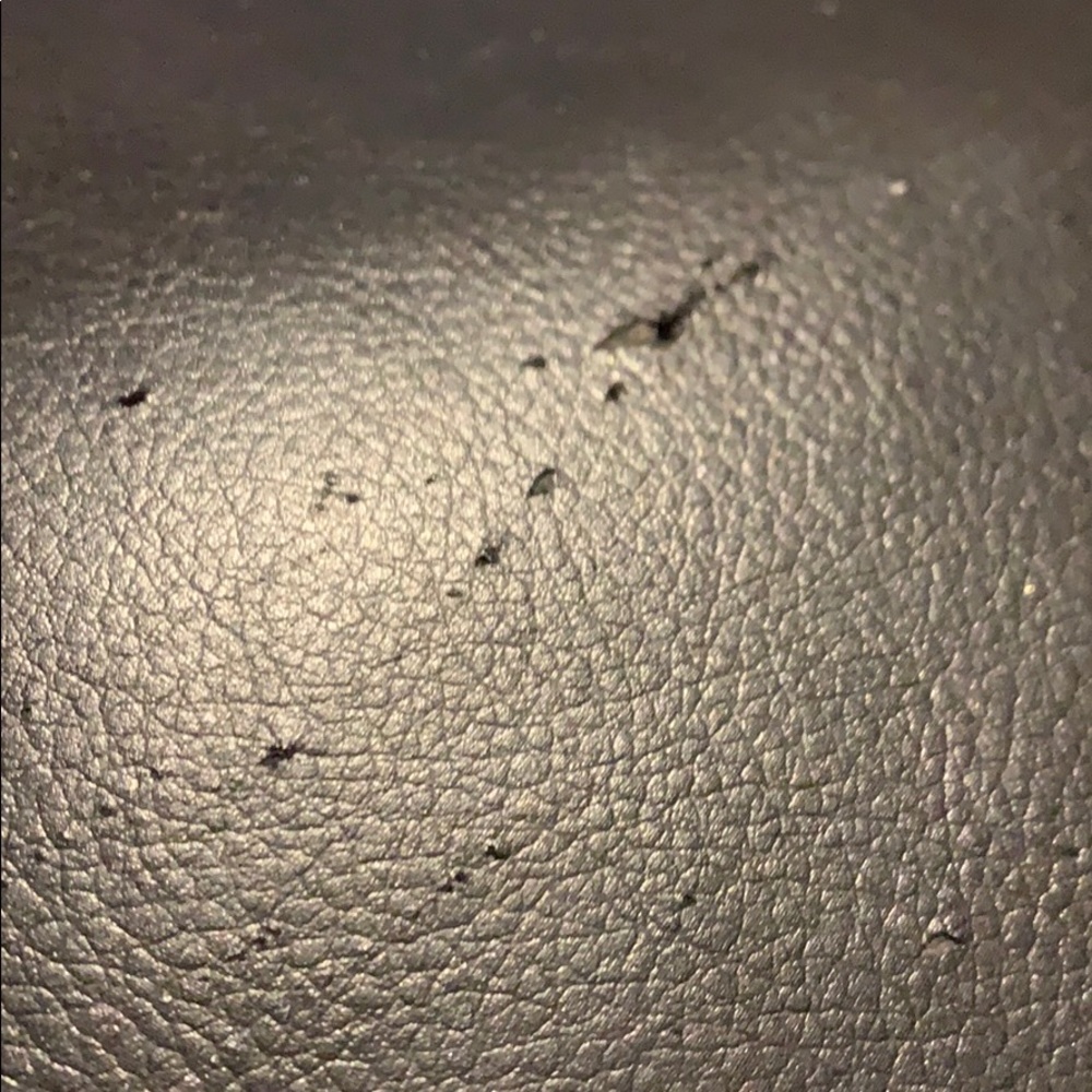 Meet your Posher, Carly